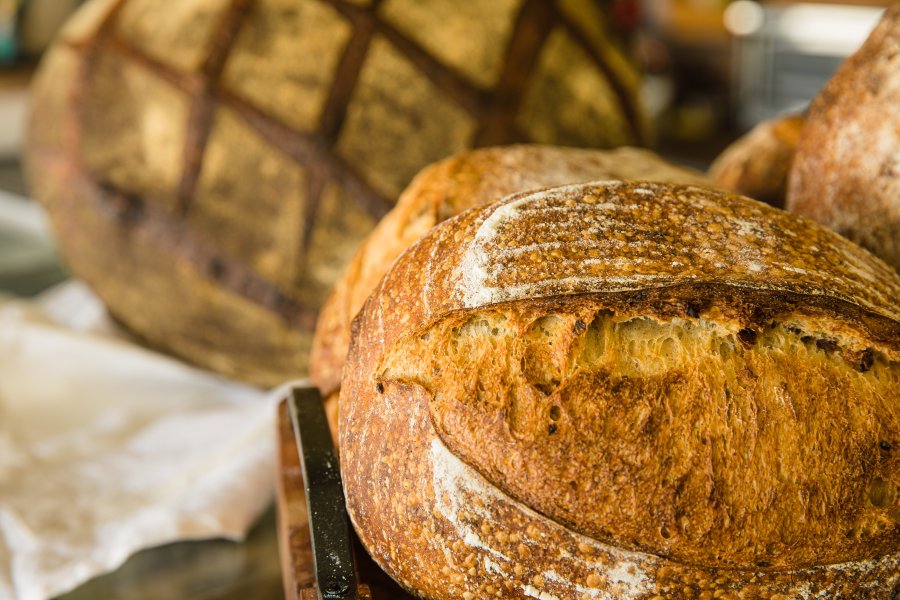 A delicious loaf of artisan bread made in Puerto Rico.
