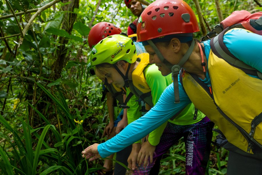 A group of people viewing the tropical fauna in Puerto Rico.