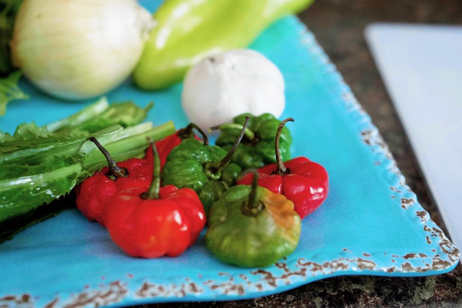 Collection of different vegetables, a great way to start a home garden.