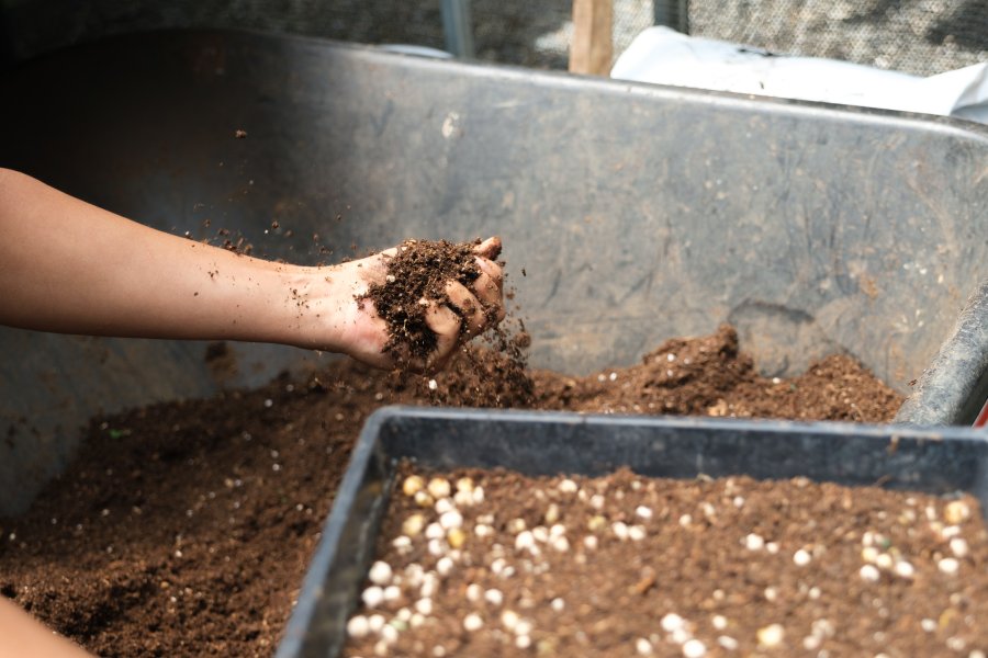 A bin full of composted soil in Puerto Rico.