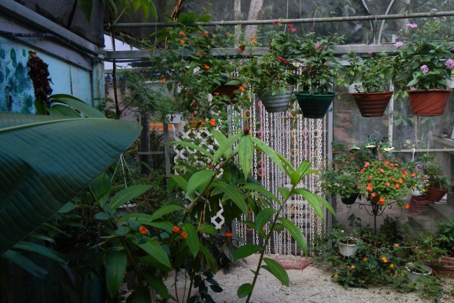 Image of a beautiful home garden, a great way to be more sustainable.