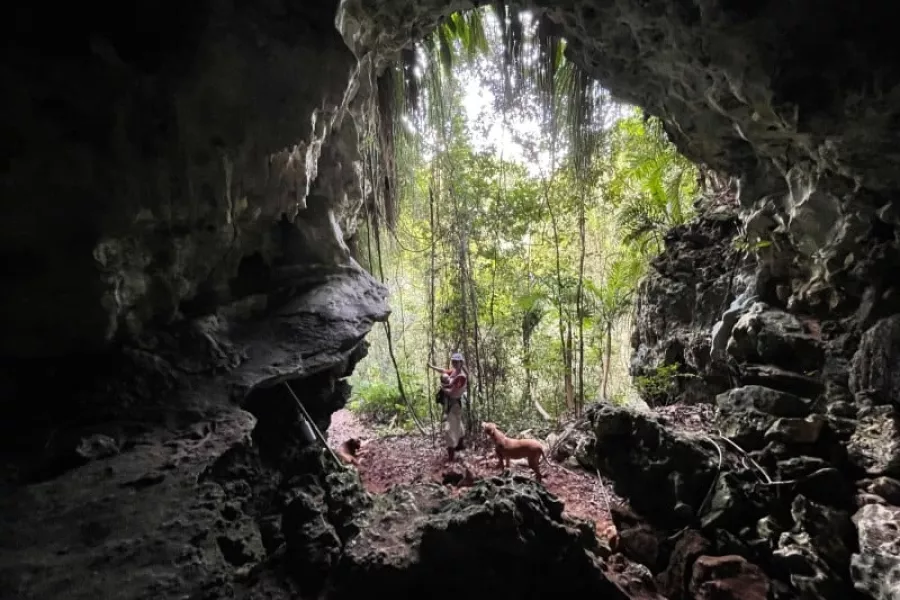 A cave opening at Finca Gaia, located in Dorado, Puerto Rico.