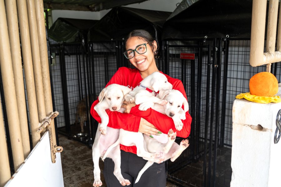 A person holdings three puppies as part of a dog rescue initiative in Puerto Rico