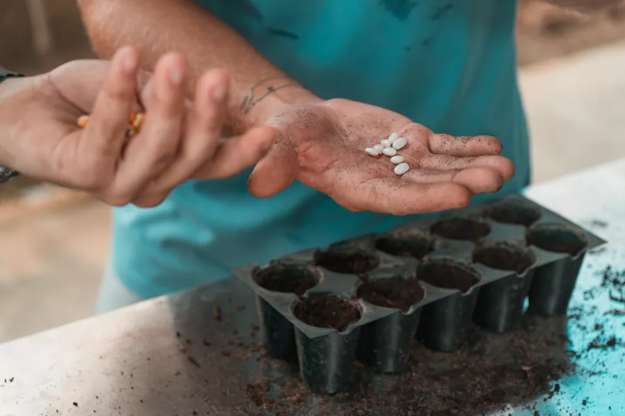 Two people holding assorted seeds and a container to grow at Finca la Zafra, a sustainable farm in Gurabo, Puerto Rico.