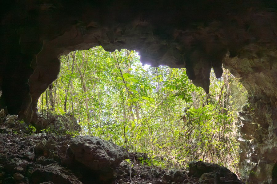 A cave opening at the Las Cabachuelas Natural Reserve in Morovis, Puerto Rico.