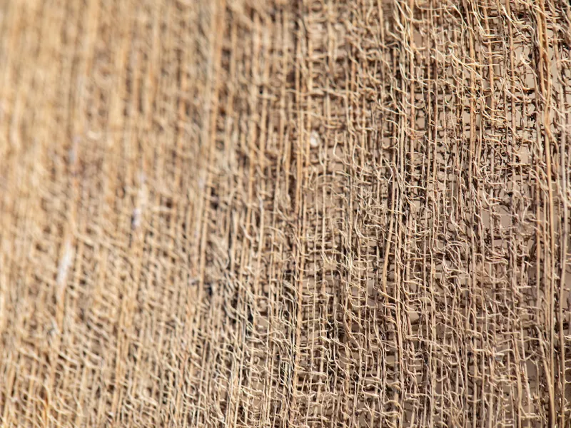 Texture view.
