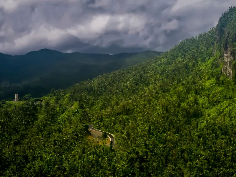 El Yunque es el único bosque tropical lluvioso en el Servicio Forestal Nacional de los Estados Unidos.