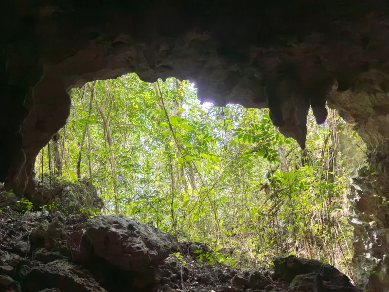 A cave opening at the Las Cabachuelas Natural Reserve in Morovis, Puerto Rico.