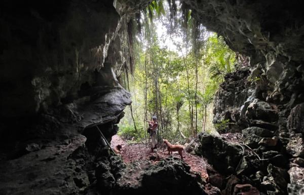Finca Gaia LLC