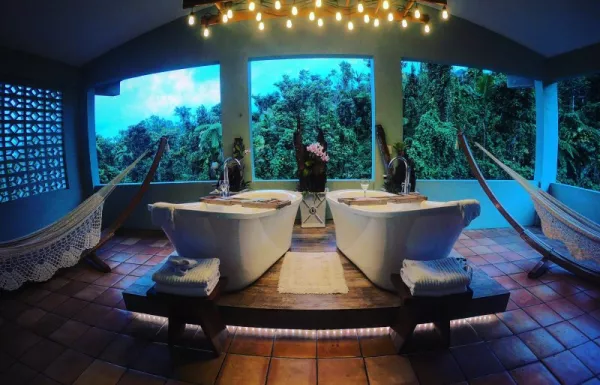 Rainforest Inn Bed and Breakfast