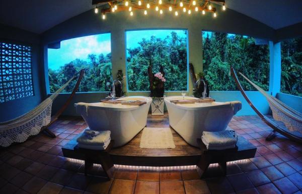 Rainforest Inn Bed and Breakfast