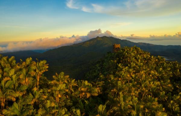 El Yunque National Forest