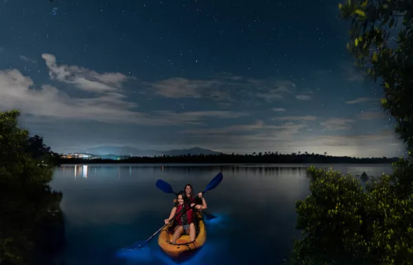 Laguna Grande Bioluminescent Bay