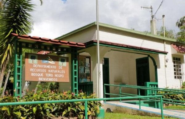 Bosque Estatal Toro Negro
