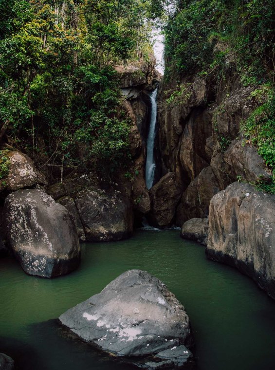 Rio Espíritu Santo waterfall spills into a lake surrounded by dense forest in El Yunque National Forest, Puerto Rico.