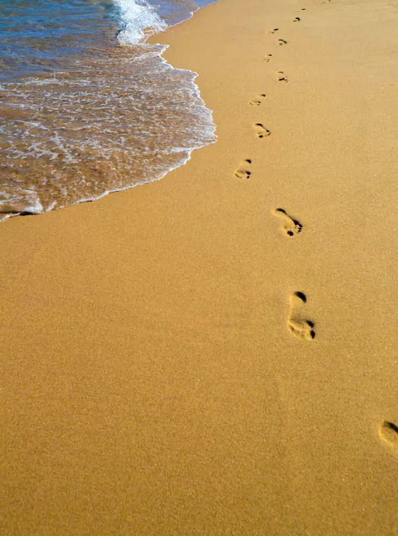 View of footprints in the sand.