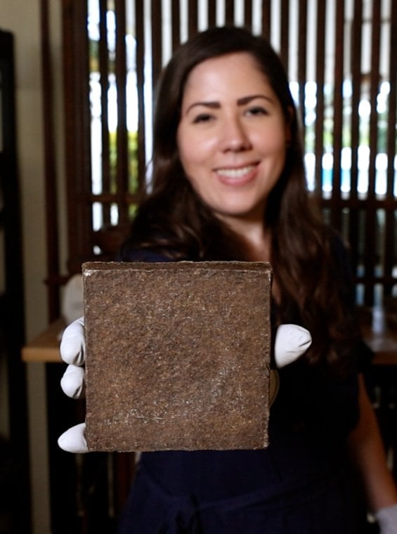 A person holding a soil block in Puerto Rico.