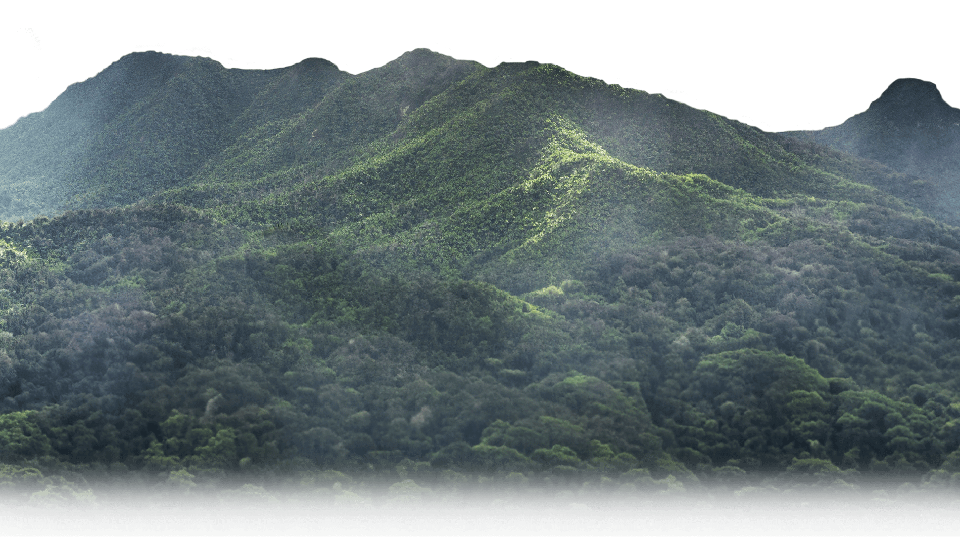 Mountains
